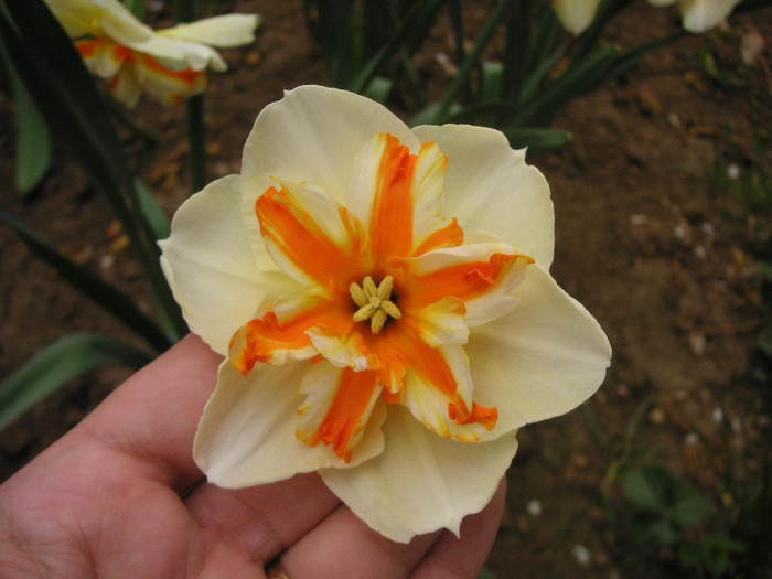 2457506920075666569Bgvwbx_fs