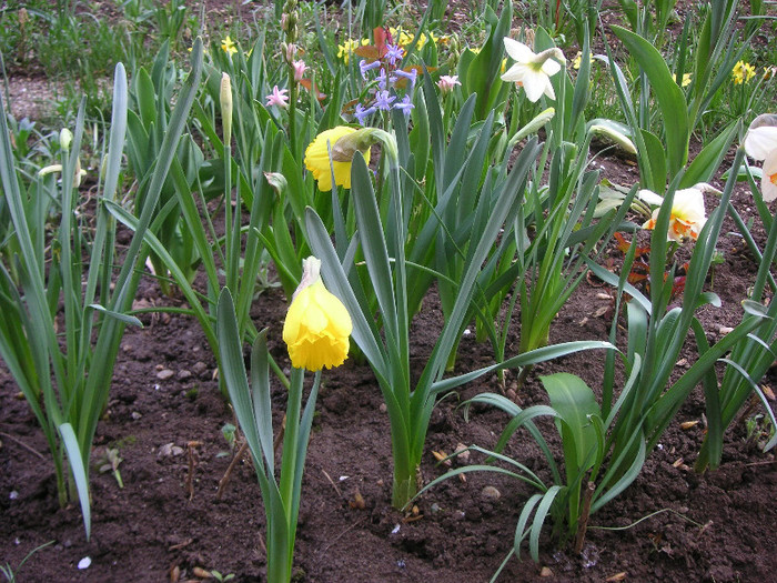 2469834950075666569rCnQVk_fs