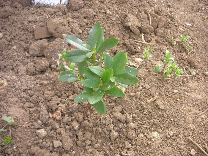 2485948770075666569NfDBNI_fs