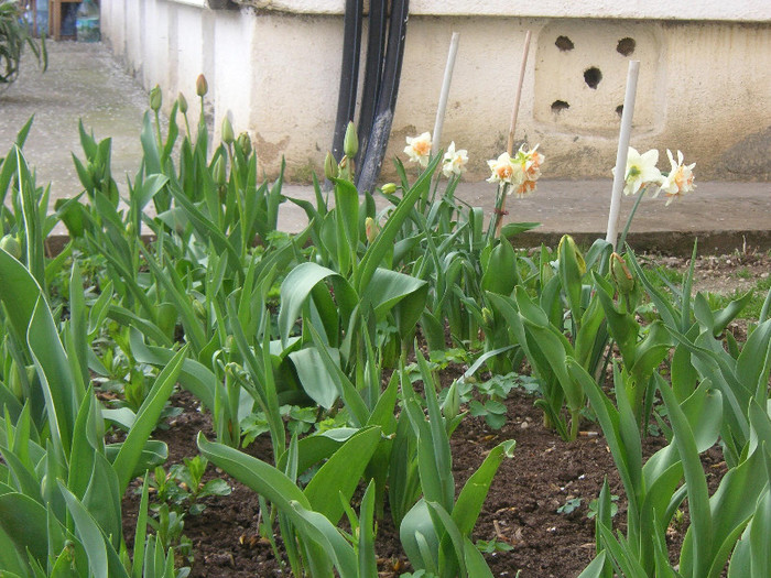 2503225410075666569qGGhAp_fs