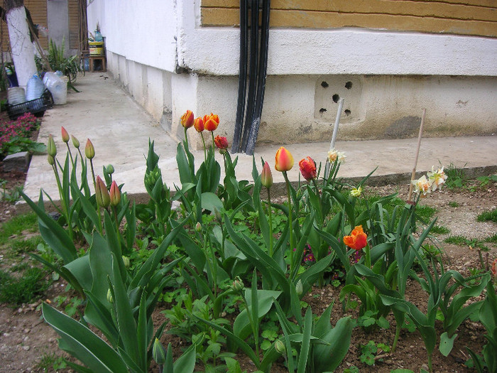 2503710010075666569nqzXpn_fs