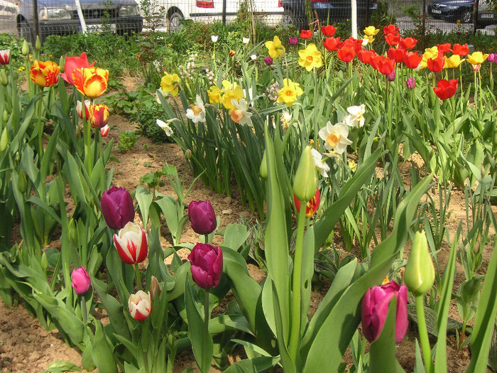 2515472170075666569bAnOrd_fs