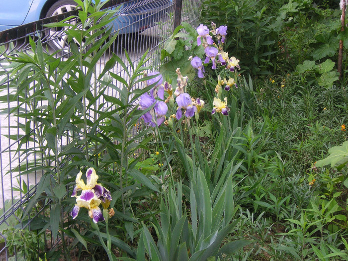 2516651360075666569ZqbWWk_fs