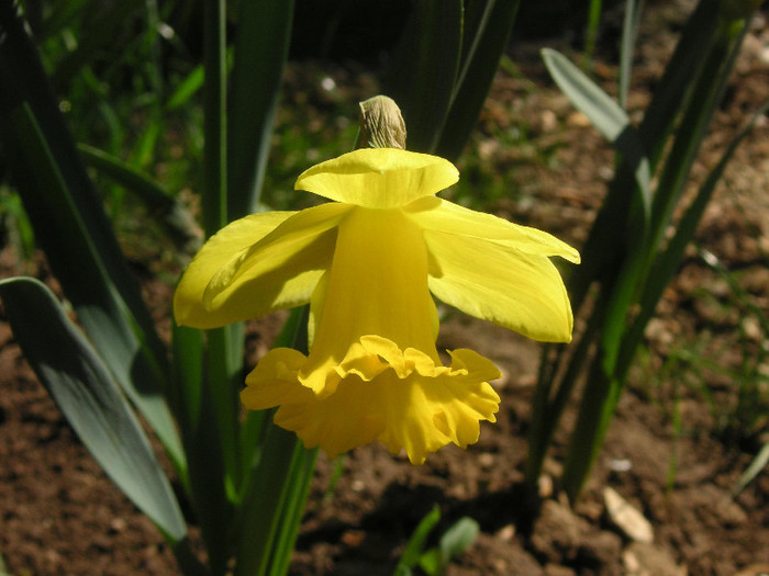 2524749060075666569QzoBRX_fs