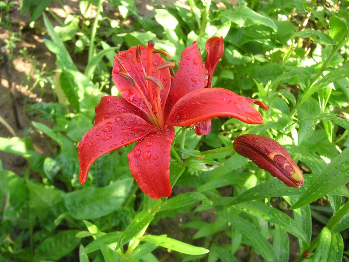 2535771540075666569OVfjOq_fs