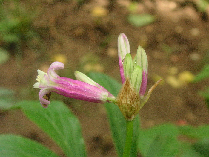 2541100440075666569uXefmr_fs