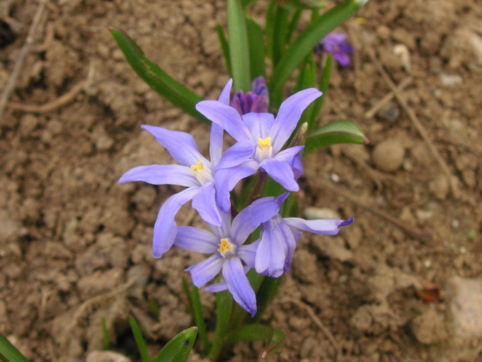 2542829510075666569qhrgOs_fs