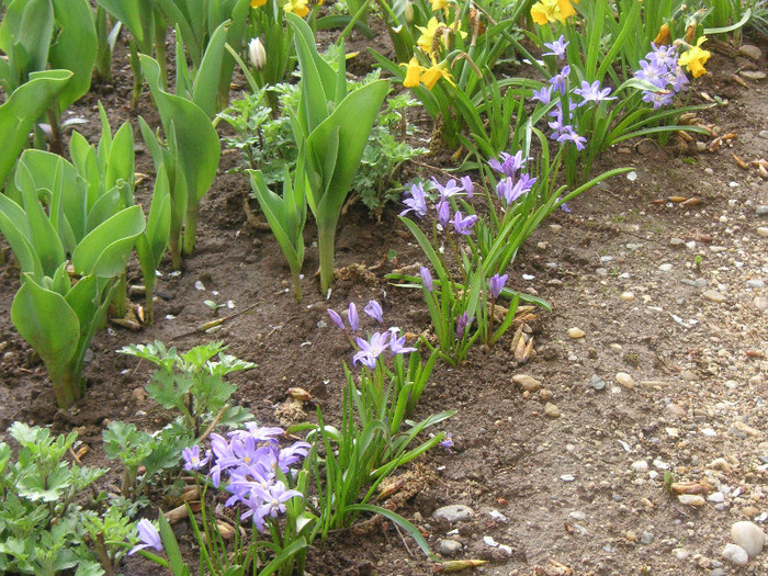 2548523440075666569Dcjrgl_fs