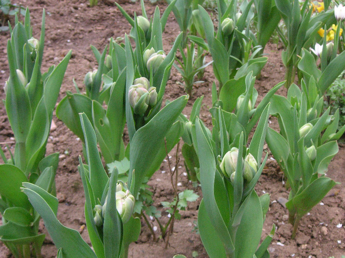 2555537750075666569KPPcoi_fs