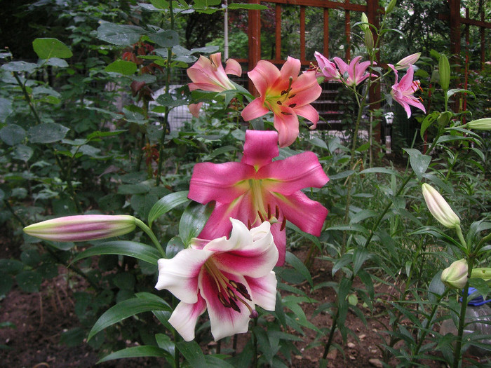 2561930800075666569ynUiXv_fs