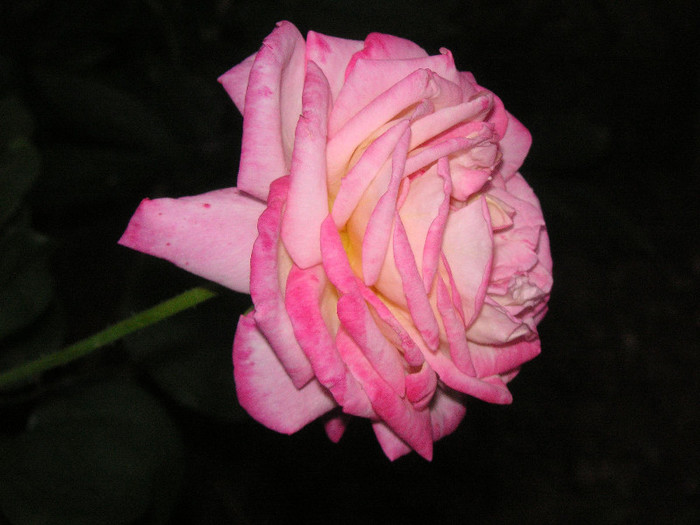 2562826860075666569UgUsRq_fs