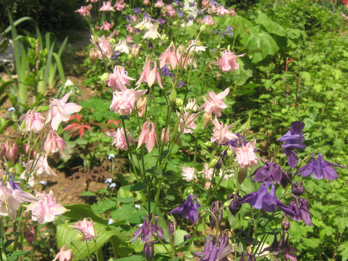 2565077250075666569vnVsze_fs