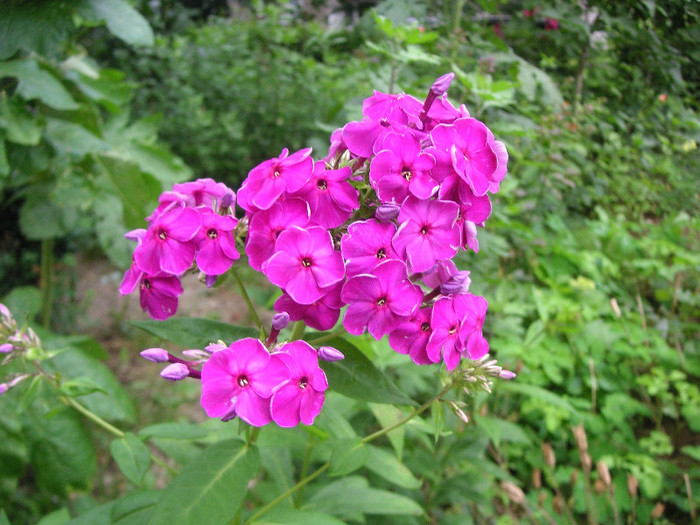 2568536360075666569bSqPcq_fs