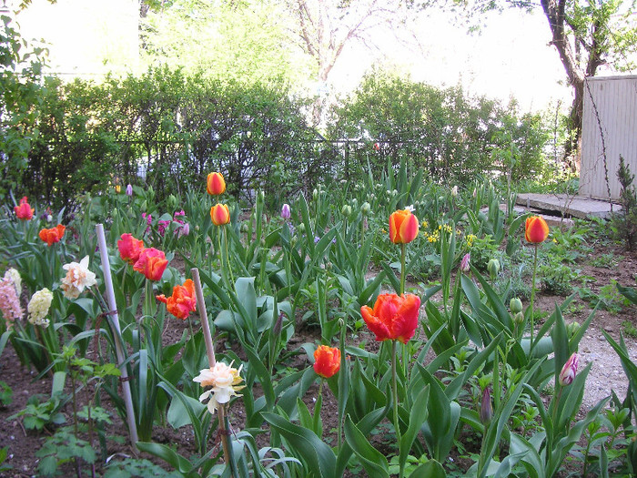 2584076530075666569ZJaaGh_fs - Gradina III