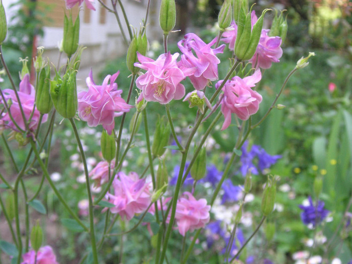 2584210260075666569pYvnMY_fs