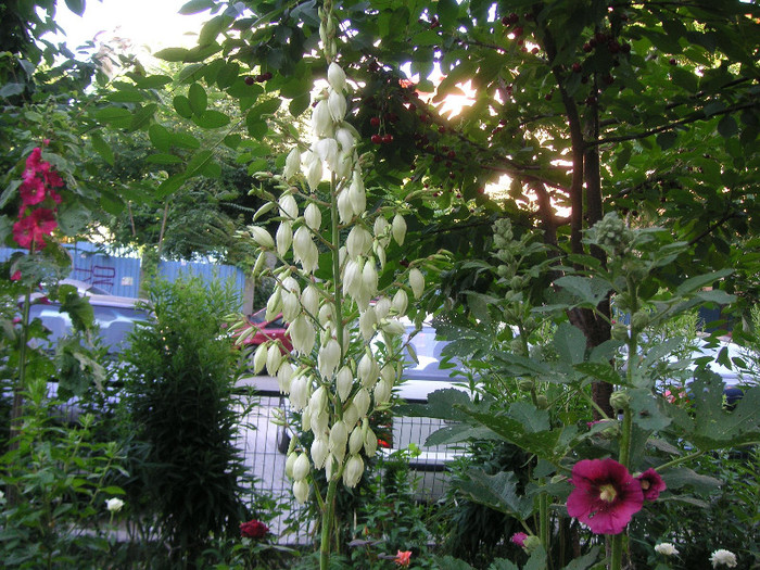 2594567770075666569uWWpWE_fs