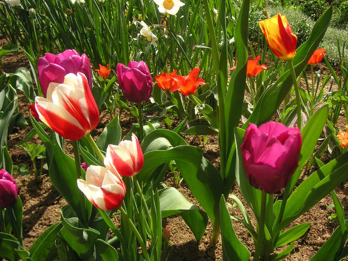 2621793640075666569UhAQwP_fs