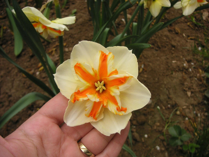 2628453290075666569KGbzuc_fs