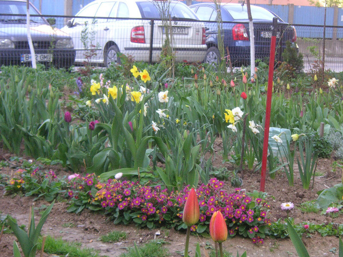 2630209240075666569QuADcu_fs