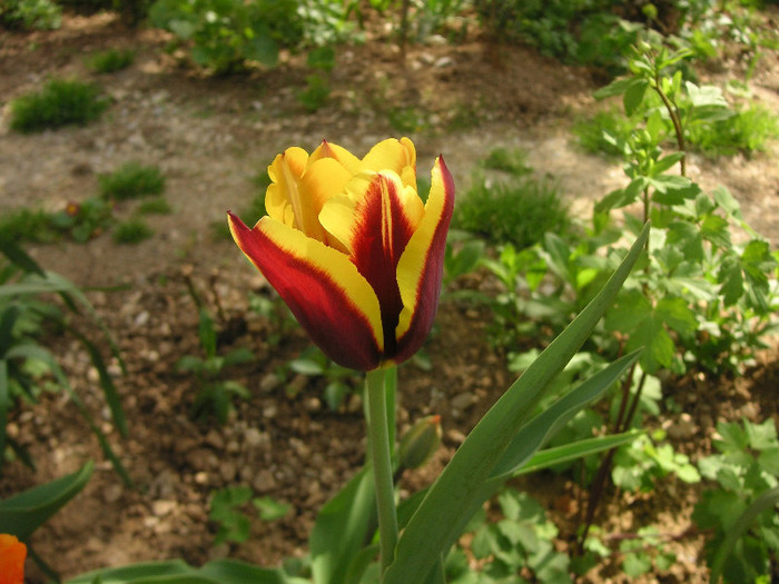 2631840900075666569PNwMEF_fs