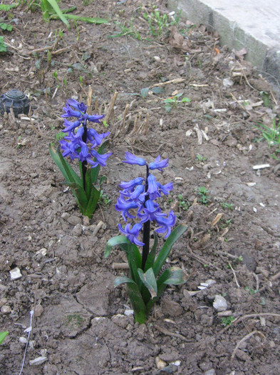 2639323020075666569eXUCSj_fs