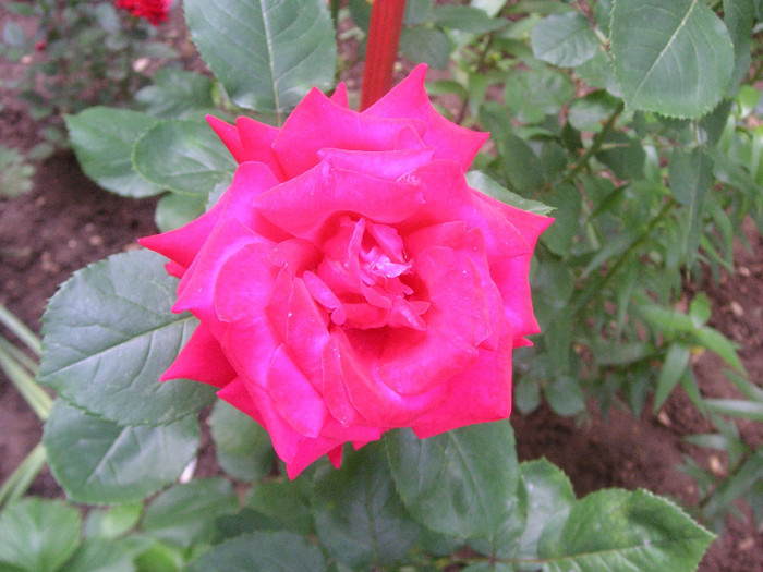 2654364670075666569bJVrMN_fs