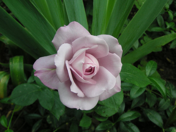 2654999870075666569OPjLdS_fs