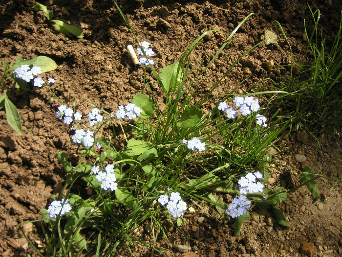 2662941470075666569oTeAJG_fs