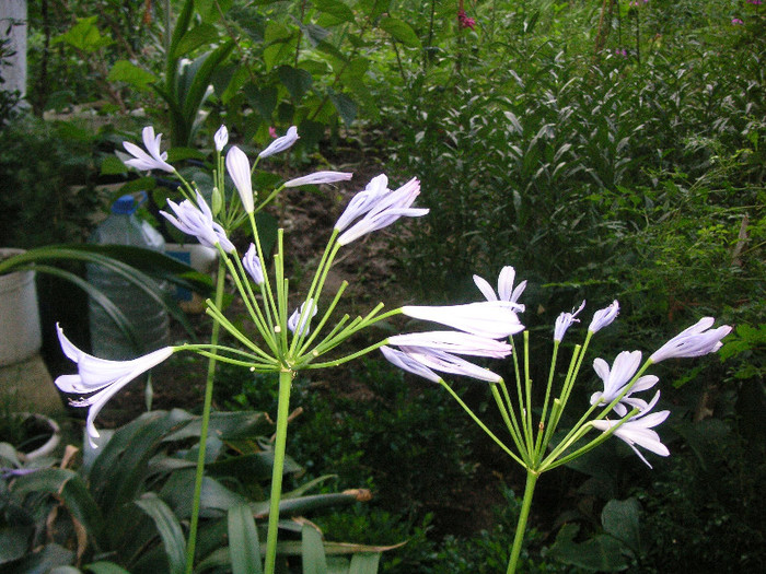 2665670800075666569KMhIwF_fs