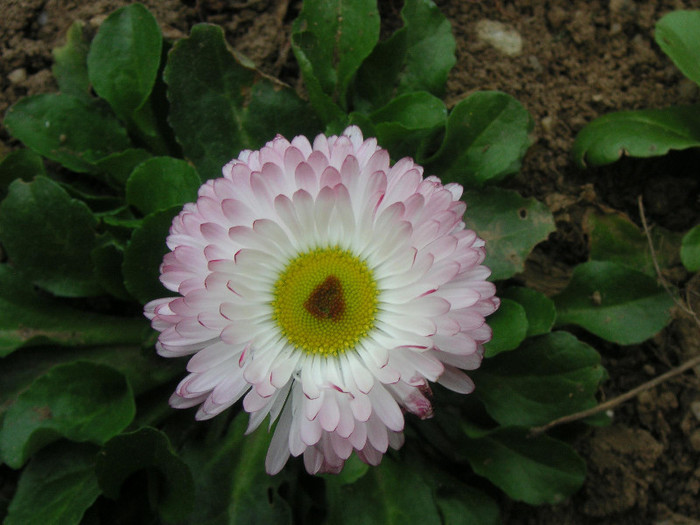 2675489870075666569ZfNXNQ_fs