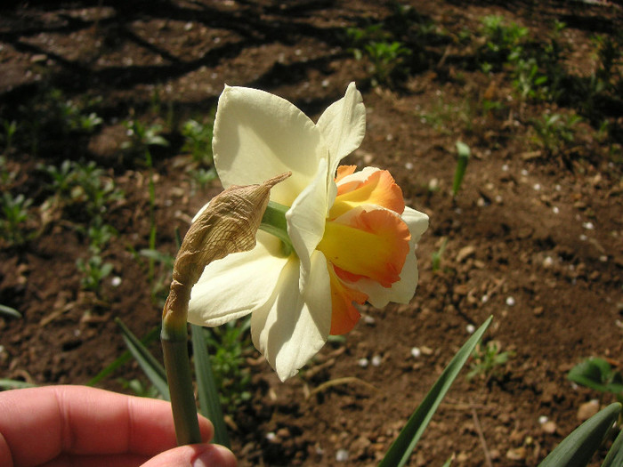 2678903390075666569KlNSYv_fs