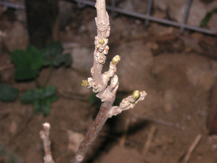 2683640740075666569dcwHaY_fs