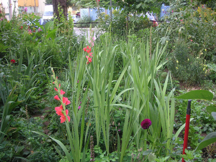 2691553580075666569eMvrGF_fs