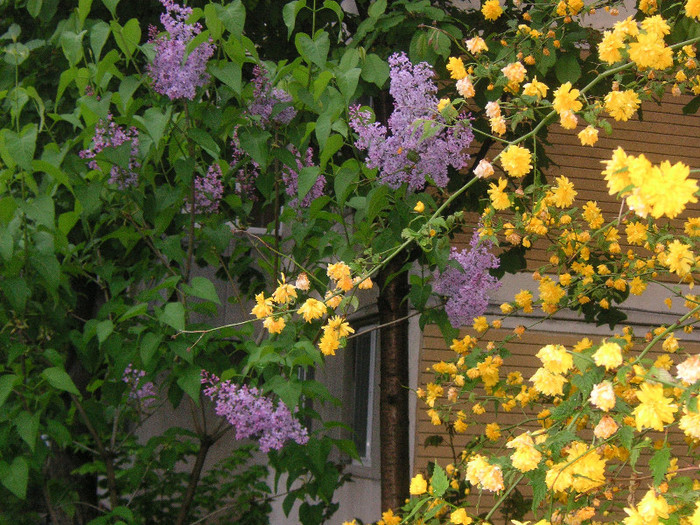 2691959830075666569iBQSQv_fs