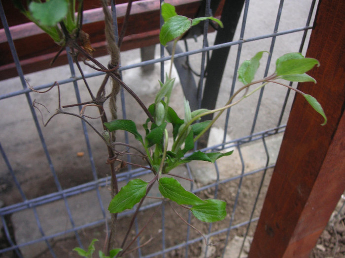 2693504000075666569maRYSI_fs