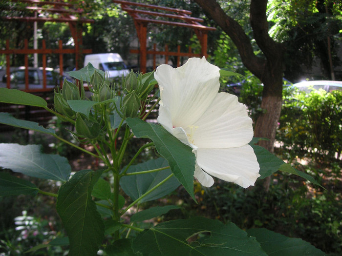 2702411080075666569XZUKDv_fs