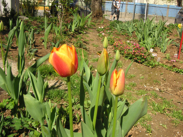 2717001640075666569oUBzLp_fs