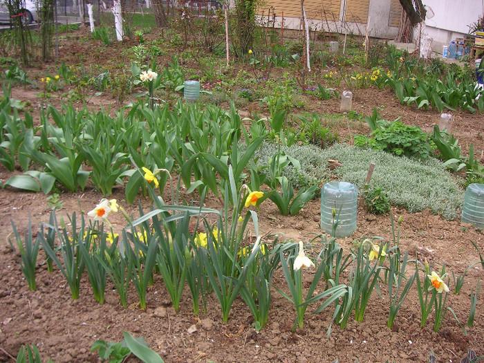 2717210880075666569KFoEue_fs