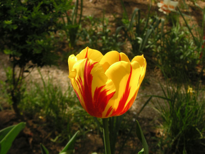 2721050030075666569zQluJa_fs