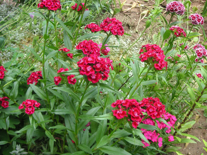 2721910860075666569qtjyco_fs