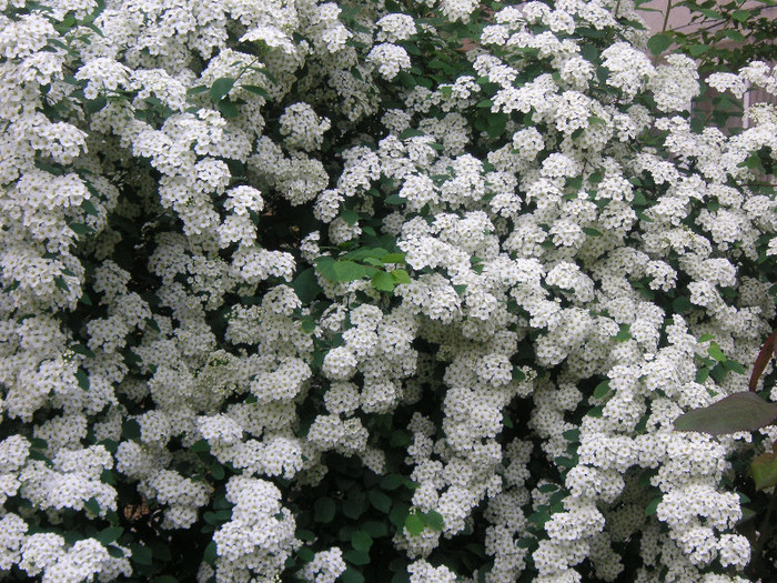 2722249150075666569BfWUcB_fs