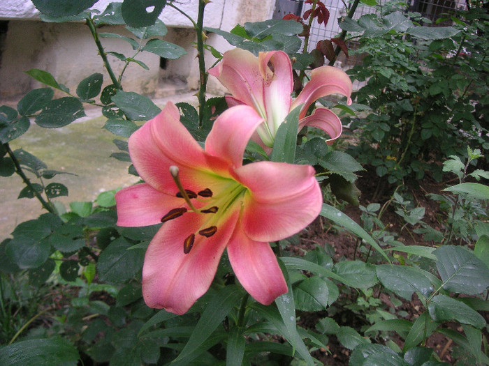 2728815860075666569kHCtOb_fs