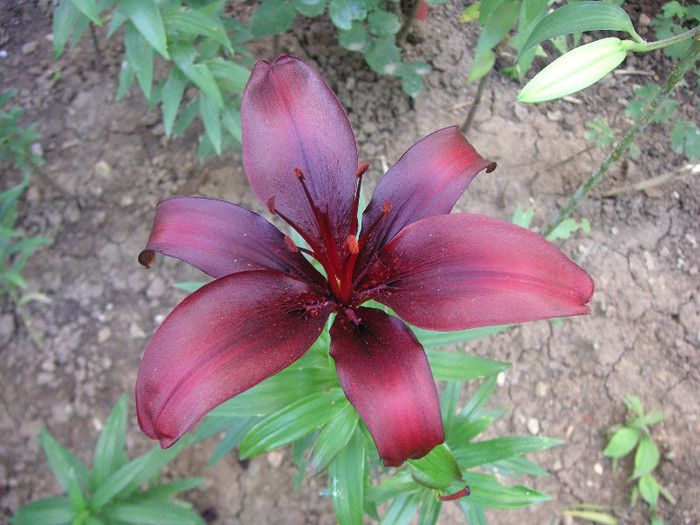 2741996050075666569SnbgUF_fs