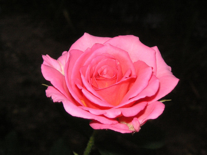 2747898970075666569DJmbcv_fs