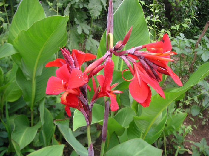 2754616410075666569nbWjkV_fs