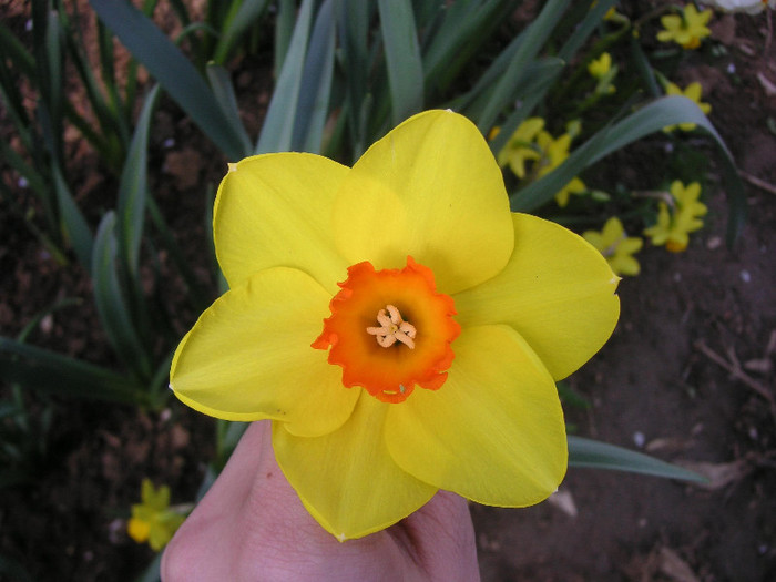 2768913590075666569SQnyOL_fs