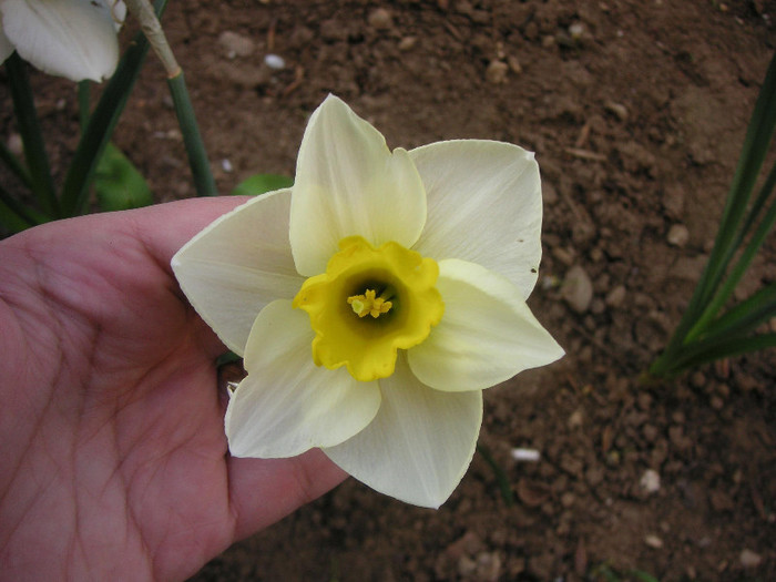 2771026130075666569ofkjWJ_fs