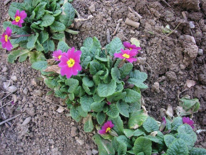 2779995740075666569tQAIlw_fs