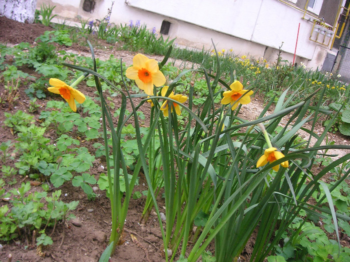 2783210140075666569VXAUkm_fs