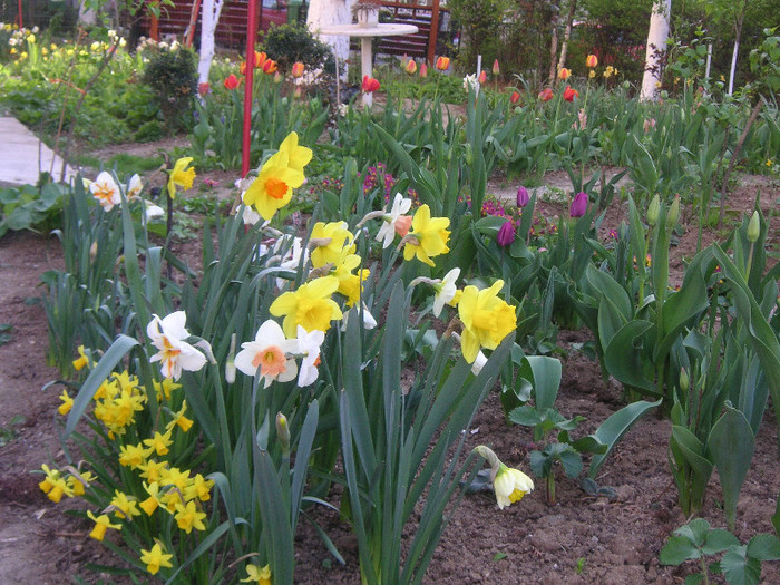 2792265870075666569BTYsNH_fs